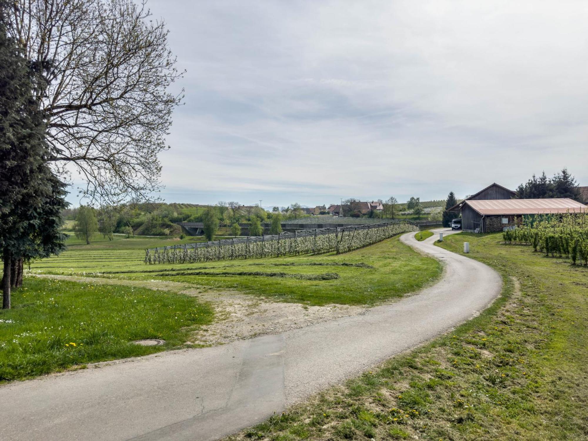 Ferienwohnung Lang Kressbronn am Bodensee Exterior photo